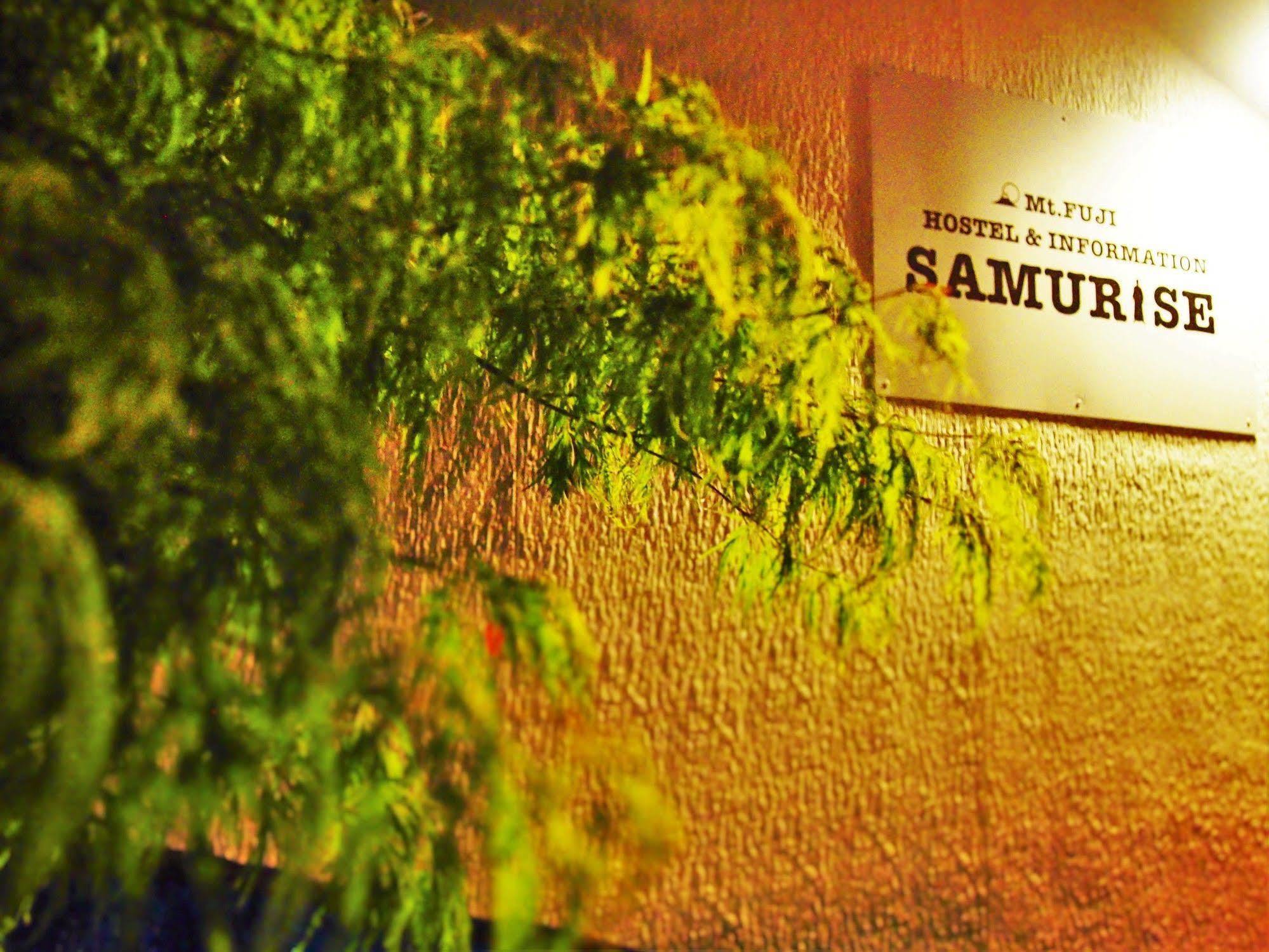 Hostel Samurise Mt Fuji Fujikawaguchiko Extérieur photo